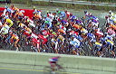 Hamilton 2003 Road World Championships - Elite Men Road Race