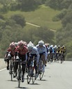 2008 Sea Otter Classic, Women's Circuit Race
